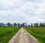 AGRICOLA CASEARIA LUPARA S.R.L – company logo, company info header