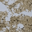 LA MUD – company logo, company info header