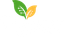 BD İNCİR ÜRETİM PAZARLAMA GIDA TARIM İNŞAAT SANAYİ VE TİCARET LİMİTED ŞİRKETİ – company logo, company info header