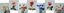 AGRICOLA EL CACTUS S.A – company logo, company info header