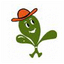 AGROHOUSE.GR – company logo, company info header