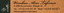 ALOIS TAFERNER – company logo, company info header