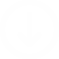 BYRD FOODS INTERNATIONAL LLP – company logo, company info header