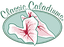 CLASSIC CALADIUMS LLC – company logo, company info header