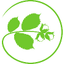 PONTOS COMPANY – company logo, company info header