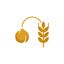 Kasai Grain Group – company logo, company info header