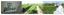 CASCO PRODUCE, S.A. DE C.V – company logo, company info header