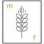 MOLINO FOCHESATO S.R.L. – company logo, company info header