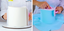ALIMENTOS ENCO SA DE CV – company logo, company info header