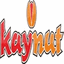 KAYNUT KURUYEMIS GIDA PAZARLAMA SAN. TIC. LTD. ŞTI. – company logo, company info header