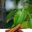 ADITAMA SENTOSA INDONESIA – company logo, company info header