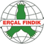 ERÇAL HAZELNUT – company logo, company info header