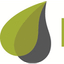 PRUNUS TRADE – company logo, company info header