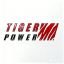 Tiger Power (Wuxi) Co., Ltd. Shanghai Branch – company logo, company info header