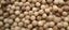 BINH PHUOC RED SOIL LIMITED COMPANY – company logo, company info header