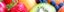 GREENGROCER GMBH – company logo, company info header