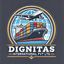 DIGNITAS INTERNATIONAL PVT LTD – company logo, company info header