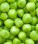 ALEXINGREDIENTS INC – company logo, company info header