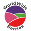 WORLDWIDE BERRIES LTD – company logo, company info header