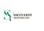 Succulent Ventures Ltd – company logo, company info header