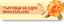 BRIT ROSACO – company logo, company info header