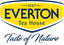 EVERTON S.P.A. – company logo, company info header