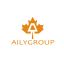 Hangzhou Aily Digital Printing Technology Co., Ltd. – company logo, company info header