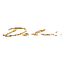 AZIENDA AGRICOLA DELAI – company logo, company info header