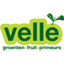 VELLE FRUITS – company logo, company info header