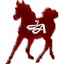 JASON ARABIANS – company logo, company info header