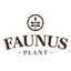 FAUNUS PLANT SRL – company logo, company info header
