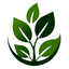 Borneo Kratom – company logo, company info header
