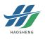 Guangzhou Haosheng Supply Chain Co., Ltd. – company logo, company info header