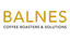 BALNES EUROPE, S.L – company logo, company info header