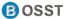 Bosst International Co., Limited – company logo, company info header