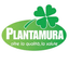 PLANTAMURA CARLO SRL – company logo, company info header