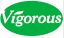 Changsha Vigorous-Tech Co., Ltd. – company logo, company info header