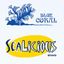 BLUEFIN SEAFOOD EXPORT INC – company logo, company info header