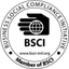 BERGNER EUROPE S.L – company logo, company info header