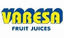 VARESA – company logo, company info header