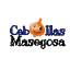 PRODUCCIONES AGRÍCOLAS MASEGOSA,S.L – company logo, company info header