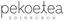 PEKOE TEA – company logo, company info header