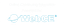 BROKER WORLD S.R.L – company logo, company info header