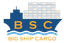 BIG SHIP CARGO LLC – company logo, company info header