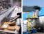 ALL CARGO LOGISTICS INTERNATIONAL – company logo, company info header