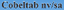 COBELTAB – company logo, company info header