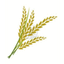 REAL GROUND INTERNATIONAL PVT LTD – company logo, company info header