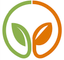 Ivoire Essentials – company logo, company info header
