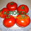 AGROGEN SA – company logo, company info header