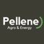 PELLENE AB – company logo, company info header